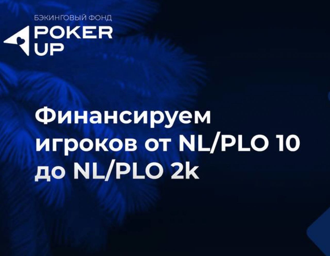 Бэкинговый кеш-фонд PokerUP ᐉ ОТЗЫВЫ - Poker-Schools.ru