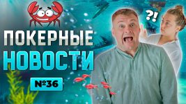 Покерные новости — выпуск 36